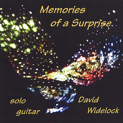 David Widelock - Memories Of A Surprise