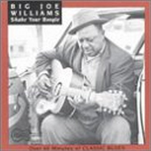 Big Joe Williams - Shake Your Boogie