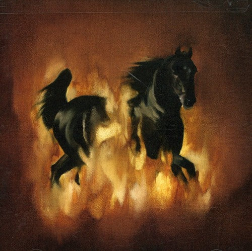 Besnard Lakes - The Besnard Lakes Are The Dark Horse