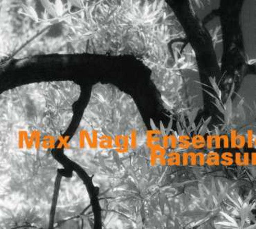 Max Nagl - Ensemble Ramasuri