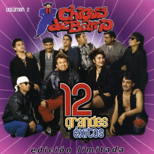 Chicos de Barrio - 12 Grandes Exitos 2