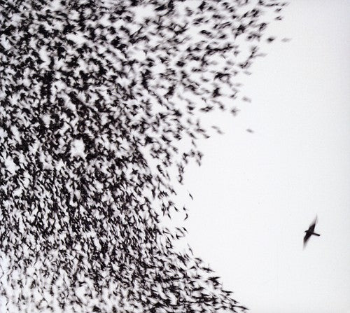 Wilco - Sky Blue Sky