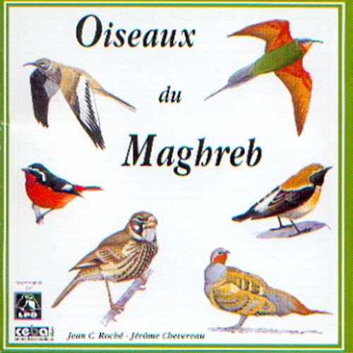 Sounds Of Nature - Birds of North-West Africa