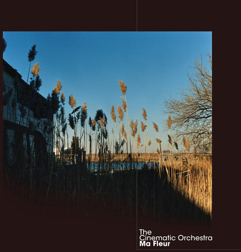 Cinematic Orchestra - Ma Fleur