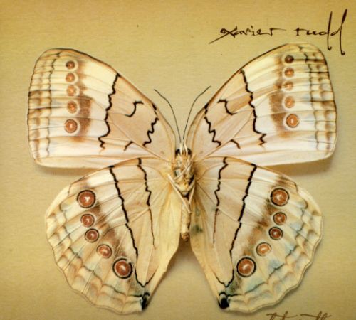 Xavier Rudd - White Moth