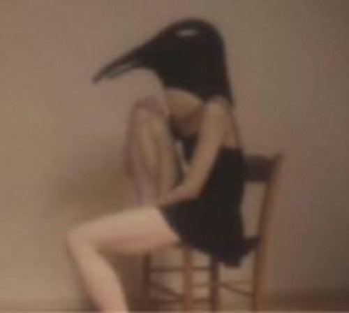 The Penguin Cafe Orchestra - Penguin Cafe Orchestra
