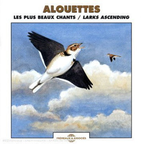 Sounds Of Nature - Larks Ascending