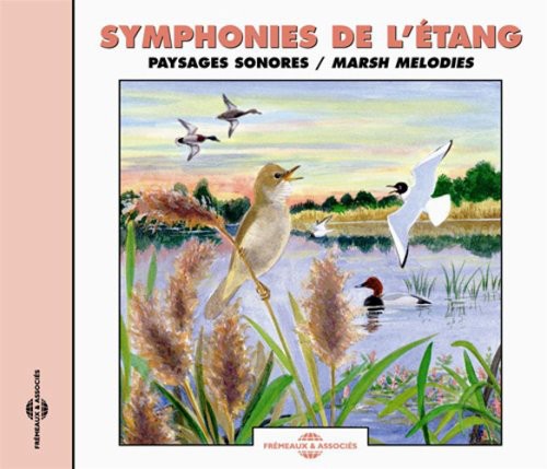 Sounds Of Nature - Marsh Melodies: Natural Soundscape