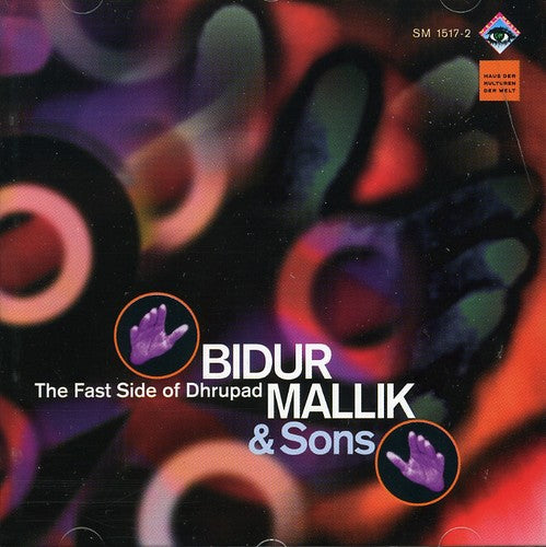 Bidur Mallik - Fast Side of Dhrupad