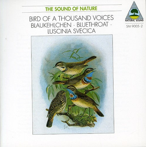 Tilgner - Blaukehlchen