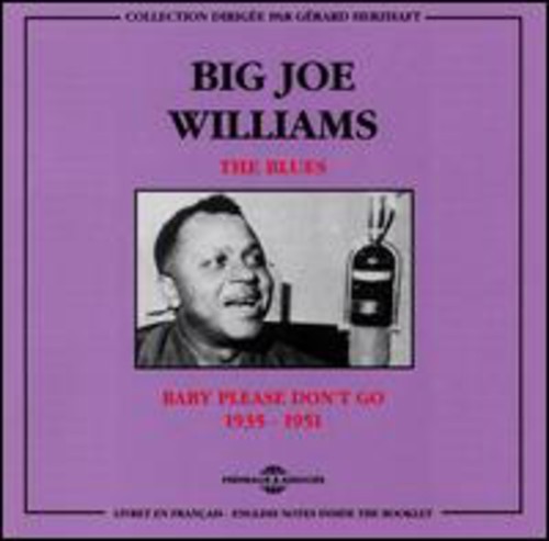 Big Joe Williams - Blues