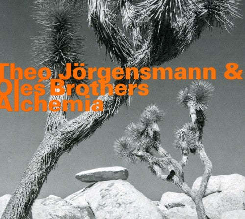 Jorgensmann Theo - Alchemia