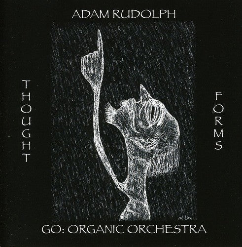 Adam Rudolph - Thought Forms-Go: Organic Orchestra
