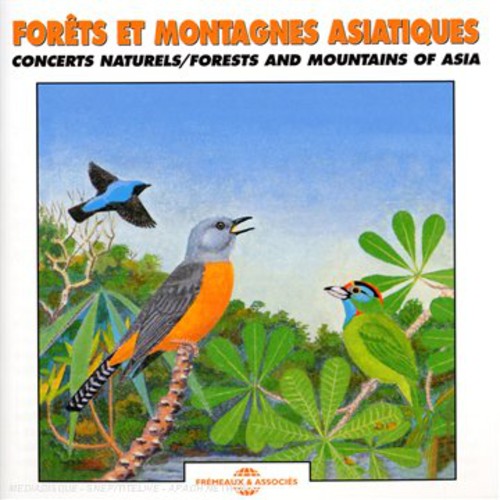 The Sounds Of Nature - Forest and Mountains Of Asia: Natural Soundscapes