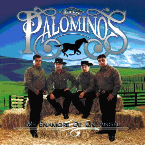 Los Palominos - Me Enamore de Un Angel