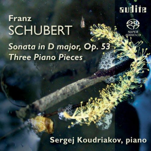 Schubert/ Koudriakov - Three Piano Pieces