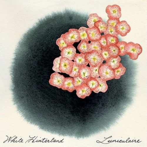 White Hinterland - Luniculaire