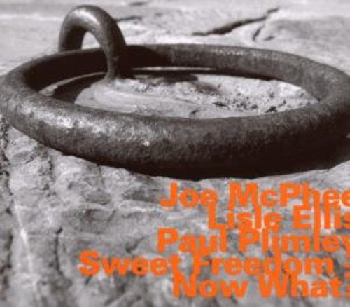 Joe McPhee - Now What