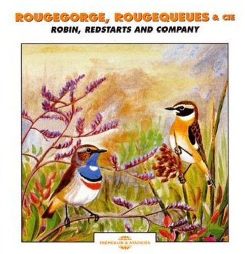 Redstarts Robin & Others - Robin: Redstarts & Company