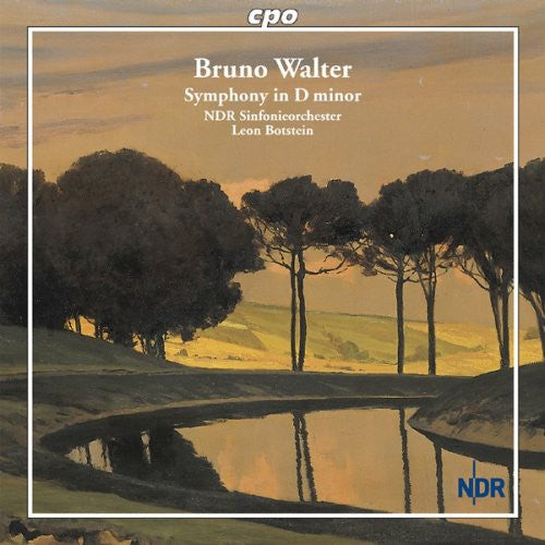 Walter/ Ndr Sinfonieorchester/ Botstein - Symphony in D minor
