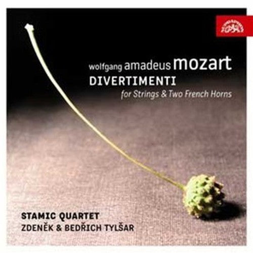 Mozart/ Matousek/ Peruska/ Leizner - Divertimento for Strings & Two French Horns