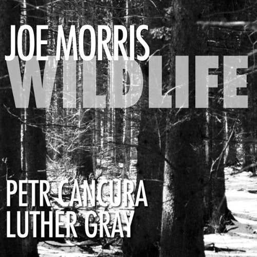 Joe Morris - Wildlife