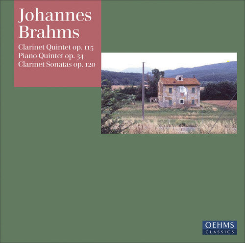 Brahms/ Perl/ Manno/ Schiefen/ Rohde/ Cunz - Clarinet Quintet