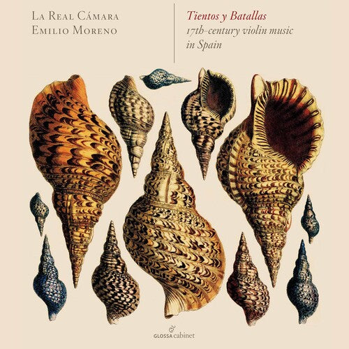 Andrea Falconieri / De Victoria/ Bovicelli - 17th Century Violin Music in Spain