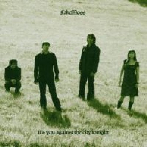 Fake Moss - It's You Against the City