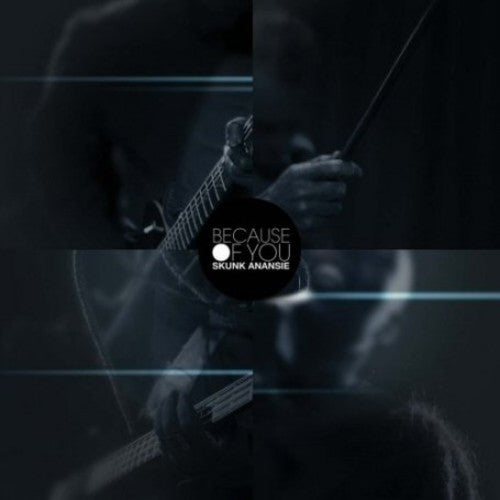 Skunk Anansie - Because of You