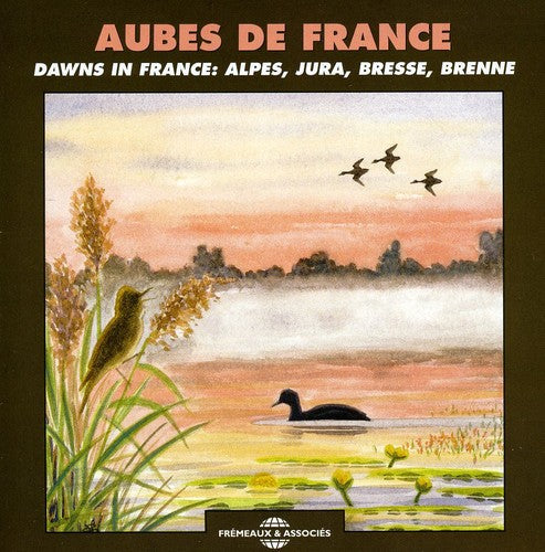 The Sounds - Dawns in France