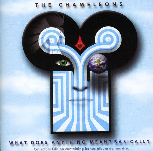 Chameleons - What Does Anything Mean? Basically