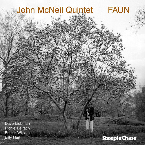 John McNeil - Faun