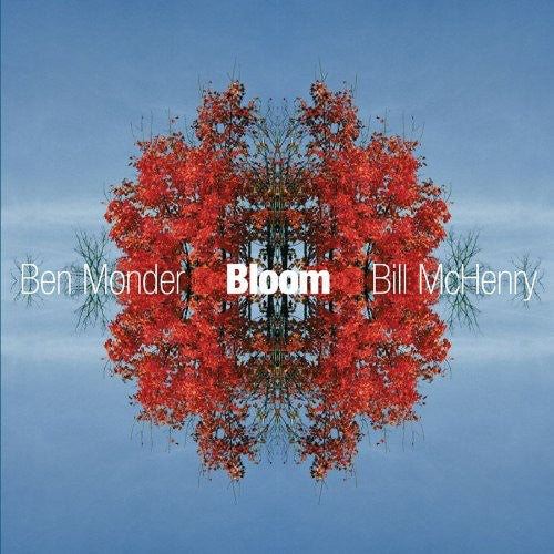 Ben Monder Bill McHenry - Bloom