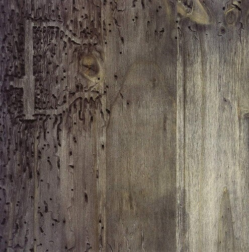 DJ Signify - Sleep No More