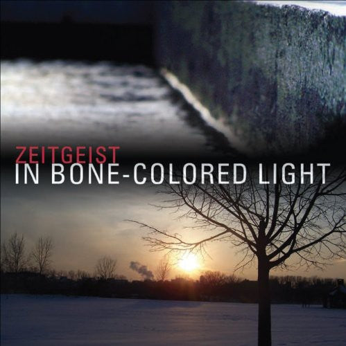 Zeitgeist/ Gatto/ Medek/ Kitzke/ Jackanich - In Bone-Colored Light
