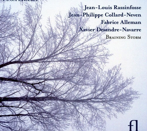 Fabrice Alleman - Braining Storm