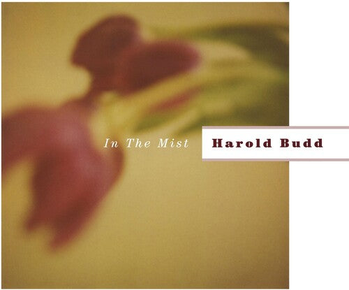 Harold Budd - In the Mist