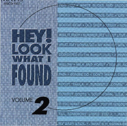 Various - Hey Look What I Found 2 / Various