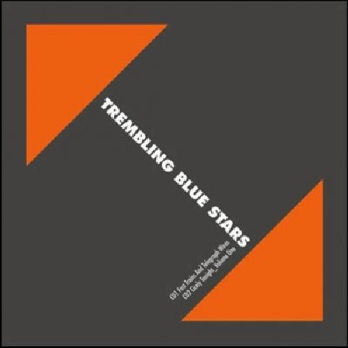 Trembling Blue Stars - Fast Trains Telegraph Wires