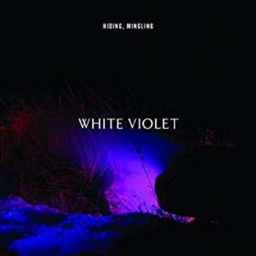 White Violet - Hiding, Mingling