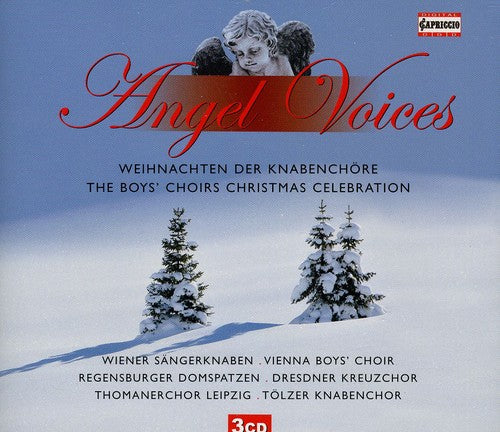 Angel Voices: Boys Choirs Xmas Celebration/ Var - Angel Voices: Boys Choirs Xmas Celebration / Various