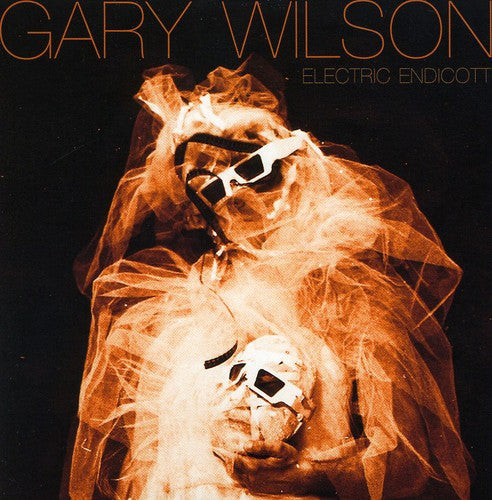 Gary Wilson - Electric Endicott