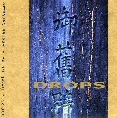 Derek Bailey / Andrea Centazzo - Drops