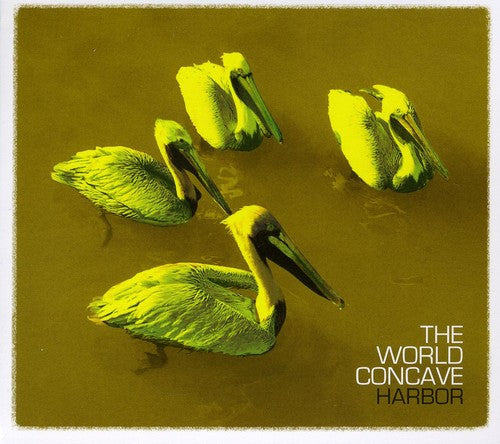 World Concave - Harbor