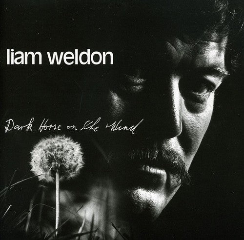 Liam Weldon - Dark Horse on the Wind