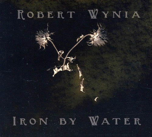 Robert Wynia - Iron By Water