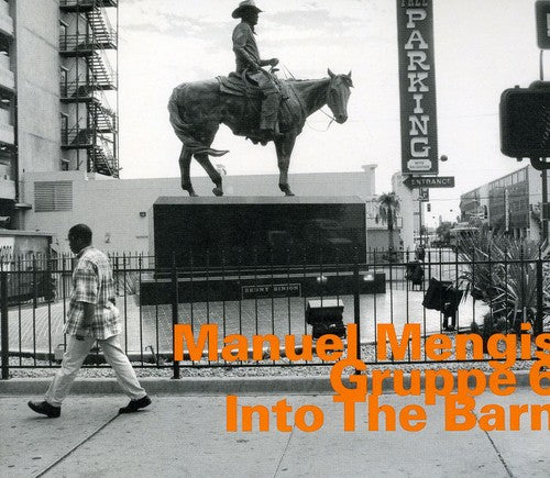 Manuel Mengis - Into the Barn