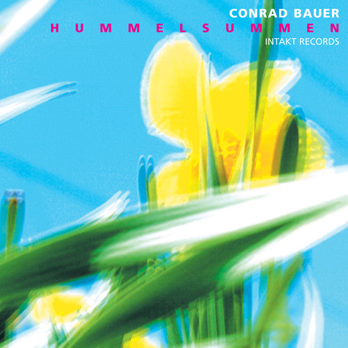 Conrad Bauer - Hummelsummen