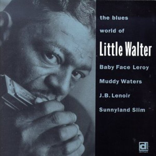 Sunnyland Slim - Blues World of